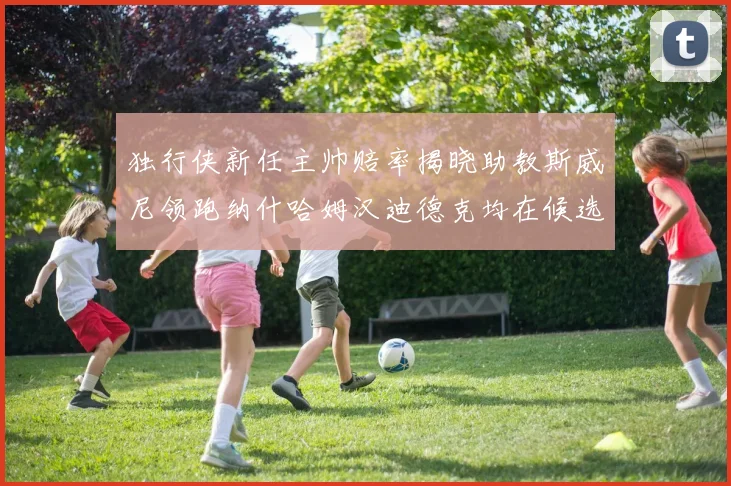 独行侠新任主帅赔率揭晓助教斯威尼领跑纳什哈姆汉迪德克均在候选之中